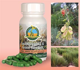 suther full Sutherlandia Frutescens